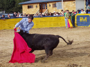 becerrada9.jpg